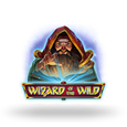 Wizard of the Wild Logo